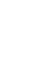 Forest Fire Facts